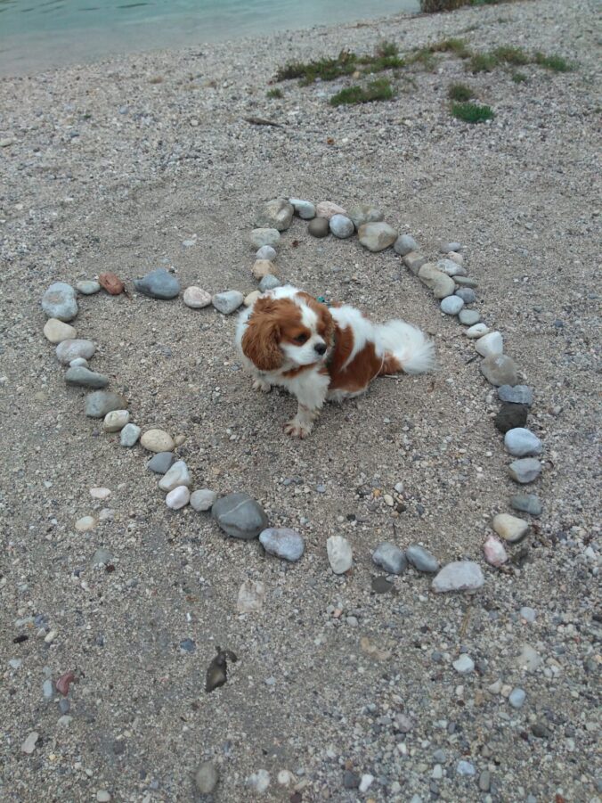 Mitten ins Herz - Happy